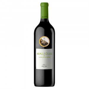 Vinho Emilio Moro Malleolus de Sanchomartín 