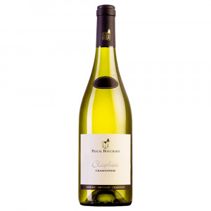 Pascal Bouchard Branco Borgonha Chardonnay Cléophas